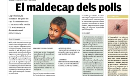 Nova pàgina de promoció de la salut: ''El maldecap dels polls''