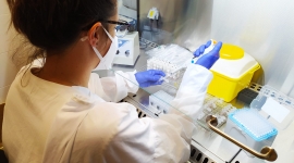 Des del maig la Fundació Salut Empordà disposa de la tècnica de biologia molecular per processar les PCR i detectar el SARS-CoV-2 