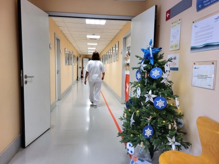 Decoració dels arbres de Nadal a les entrades dels centres de la FSE