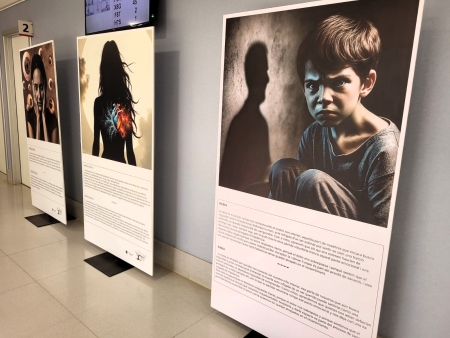 Exposició 