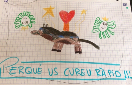 Perquè us cureu ràpid Perquè us cureu ràpid