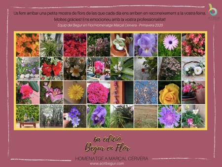 Begur en flor Begur en flor