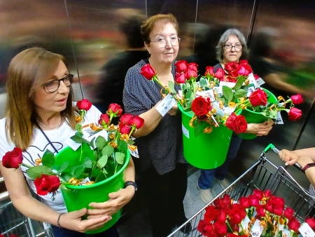 Celebrem Sant Jordi a la FSE.