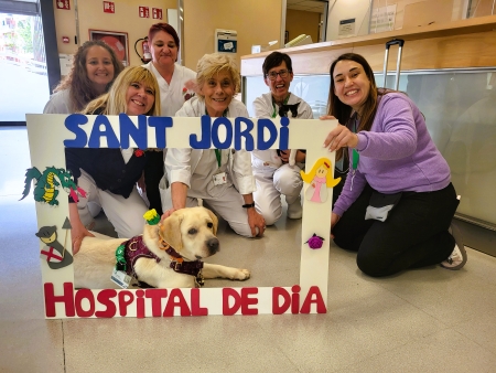 Celebrem Sant Jordi a la FSE.