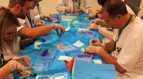 En sis mesos, la Fundació Salut Empordà ha registrat 31 donacions de còrnies